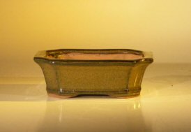 unknown Tan Ceramic Bonsai Pot - Rectangle<br><i>6.0 x 4.75 x 2.0</i>