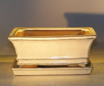 unknown Beige Ceramic Bonsai Pot - Rectangle<br>Professional Series with Attached Humidity/Drip tray<br><i>8.5 x 6.5 x 3.5</i>