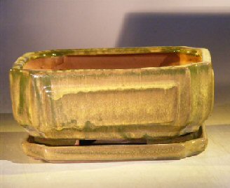 Green Ceramic Bonsai Pot - RectangleProfessional Series with Attached Humidity/Drip tray8.5 x 6.5 x 3.5 Image