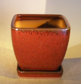 Parisian Red Ceramic Bonsai PotSquare With Attached Tray 5 x 5 x 5.5 Image