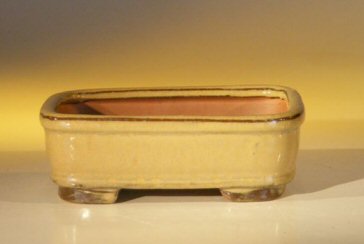 unknown Mustard Color Ceramic Bonsai Pot - Rectangle<br><i>6.125 x 5.0 x 2.125</i>