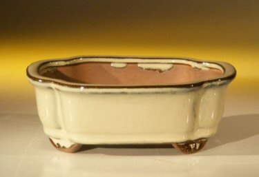Beige Ceramic Bonsai Pot - Rectangle 6.125 x 5.0 x 2.125 Image