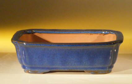 unknown Dark Blue Ceramic Bonsai Pot - Rectangle<br><i>8.0 x 6.25 x 2.5</i>