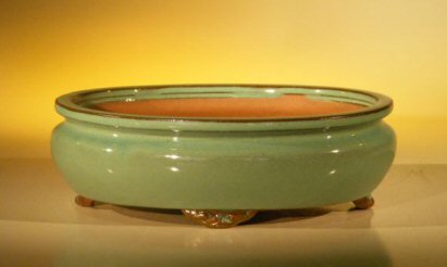 Green Ceramic Bonsai Pot - Oval 10 x 8 x 3.125 Image
