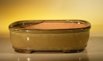 Olive Green Ceramic Bonsai Pot - Rectangle10 x 8 x 3.125 Image