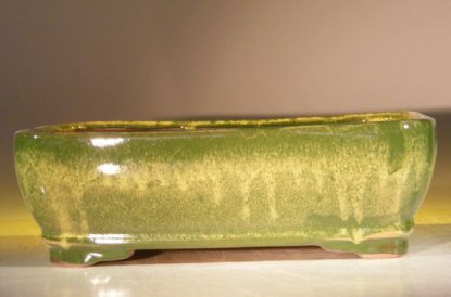 unknown Green Ceramic Bonsai Pot - Rectangle<br><i>12.0 x 9.5 x 3.4</i>