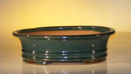 Dark Green Ceramic Bonsai Pot - Oval 12.0 x 9.5 x 3.375 Image