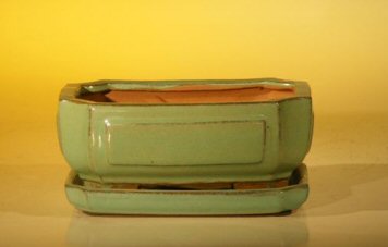 Light Green Ceramic Bonsai Pot - Rectangle Professional Series with Attached Humidity/Drip tray6.37 x 4.75 x 2.625 Image