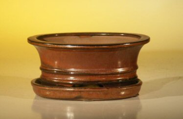 Aztec Orange Ceramic Bonsai Pot - OvalProfessional Series with Attached Humidity/Drip tray6.37 x 4.75 x 2.625 Image