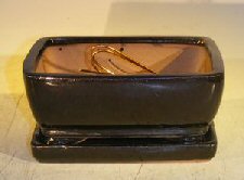 Black Ceramic Bonsai Pot - Rectangle Professional Series with Attached Humidity/Drip Tray 6.37 x 4.75 x 2.625 Image