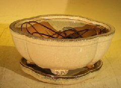 Beige Ceramic Bonsai Pot Lotus Shaped Professional Series with Attached Humidity/Drip Tray 6.37 x 4.75 x 2.625 Image