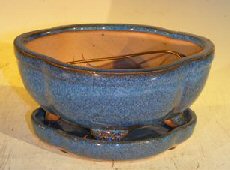 Blue Ceramic Bonsai Pot- Lotus Shape Professional Series with Attached Humidity/Drip Tray 6.37 x 4.75 x 2.625 Image