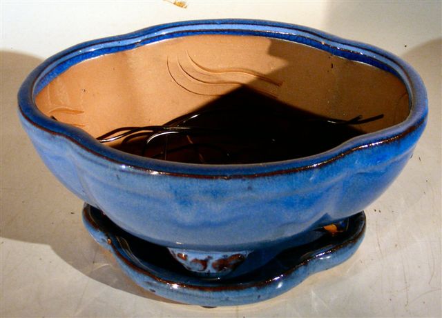 Blue Ceramic Bonsai Pot - OvalProfessional Series with Attached Humidity/Drip tray8.5 x 7 x 4 Image