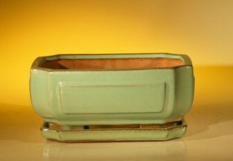 unknown Dark Green Ceramic Bonsai Pot - Rectangle<br>With Attached Humidity/Drip tray<br><i>8.5 x 6.5 x 3.5</i>