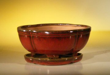 Parisian Red Ceramic Bonsai Pot - Oval Professional Series with Attached Humidity/Drip tray 8.5 x 6.5 x 3.5 Image