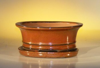 unknown Aztec Orange Ceramic Bonsai Pot - Oval<br>Professional Series with Attached Humidity/Drip tray<br><i>8.5 x 6.5 x 3.5</i>