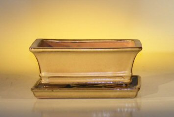 Olive Green Ceramic Bonsai Pot - RectangleProfessional Series with Attached Humidity/Drip tray8.5 x 6.5 x 3.5 Image