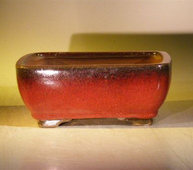 Parisian Red Ceramic Bonsai Pot - Rectangle 8.0 x 6.25 x 2.5 Image