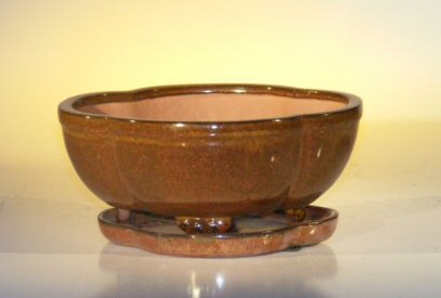 Aztec Orange Ceramic Bonsai Pot - Lotus ShapeProfessional Series with Attached Humidity/Drip tray8.5 x 6.5 x 3.5 Image