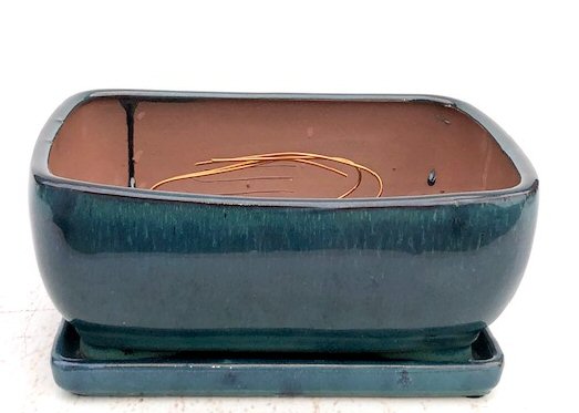Dark Moss Green Ceramic Bonsai Pot - Rectangle Professional Series with Attached Humidity/Drip Tray 10.75 x 8.5 x 4.125 Image