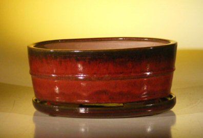 Parisian Red Ceramic Bonsai Pot - Oval Professional Series with Attached Humidity/Drip Tray 10.75 x 8.5 x 4.125 Image