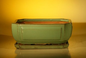 Green Ceramic Bonsai Pot - Rectangle Professional Series With Attached Humidity/Drip tray 10.75 x 8.5 x 4.125 Image