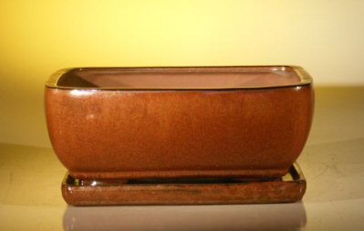 Aztec Orange Ceramic Bonsai Pot - Rectangle Professional Series with Attached Humidity/Drip tray 10.5 x 8.0 x 4.5 Image