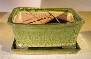 unknown Woodlawn Green Ceramic Bonsai Pot - Rectangle<br>Professional Series with Attached Humidity/Drip Tray<br><i>10.75 x 8.5 x 4.125</i>
