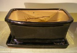 Black Ceramic Bonsai Pot- Rectangle Professional Series with Attached Humidity/Drip Tray 10.0 x 9.0 x 4.5 Image
