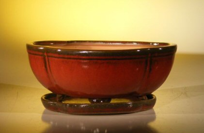 Parisian Red Ceramic Bonsai Pot - Oval / Lotus Shaped Professional Series With Attached Humidity/Drip tray 10.75 x 8.5 x 4.125 Image