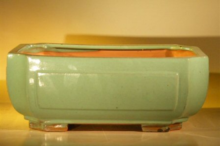 Green Ceramic Bonsai Pot - Rectangle Professional Series 12.0 x 9.5 x 4.75 Image