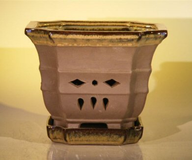 unknown Ceramic Orchid Pot - 7.625 x 6.125<br>Hexagon With Matching Attached Saucer
