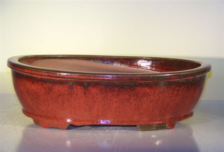 Parisian Red Ceramic Bonsai Pot - Oval14.0 x 11.0 x 4.0 Image