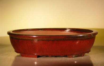 Parisian Red Ceramic Bonsai Pot - Oval16.0 x 12.5 x 4.0 Image