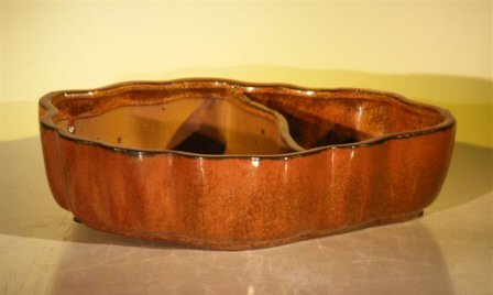 Aztec Orange Ceramic Bonsai Pot - Oval with Scalloped Edges Land/Water Divider  9.5 x 7.5 x 2.25 Image