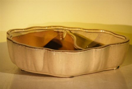 Biege Ceramic Bonsai Pot - Oval with Scalloped Edges - Land/Water Divider  9.5 x 7.5 x 2.25 Image
