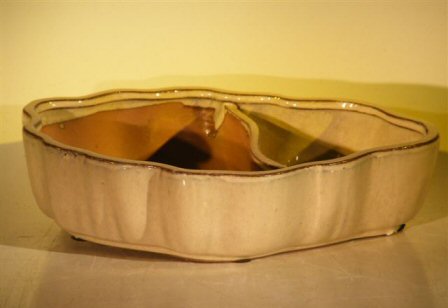 Beige Ceramic Bonsai Pot - Oval with Scalloped Edges - Land/Water Divider 12 x 9.5 x 3 Image