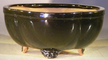 unknown Black Ceramic Bonsai Pot - Oval<br>Lotus Shape<br><i>8.5 x 7.25 x 4.0</i>