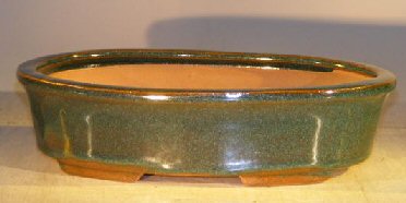 unknown Dark Green Ceramic Bonsai Pot - Oval<br><i>9.25 x 6.25 x 2.5</i>