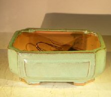 Green Ceramic Bonsai Pot - RectangleProfessional Series8.25 x 6.25 x 4.0 Image