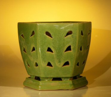 Ceramic Orchid Pot with AttachedTray 8.25