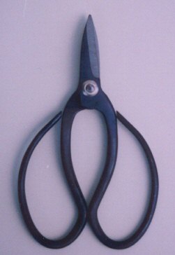 unknown Traditional Beginner Bonsai Shears