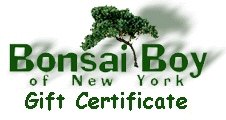 unknown Gift Certificate - Personalized Tree Pictorial