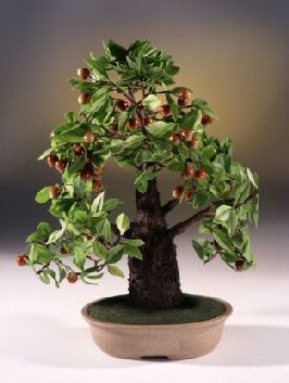 Artificial Crabapple Bonsai Tree