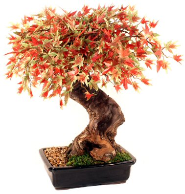 Artificial Japanese Maple Bonsai Tree - Large