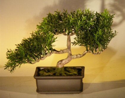 Artificial Japanese Tea Leaf Bonsai Tree