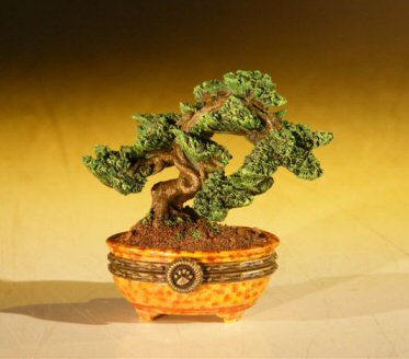 unknown Miniature Bonsai Tree<br>Treasure Box