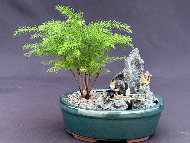 unknown Norfolk Island Pine - Stone Landscape Scene