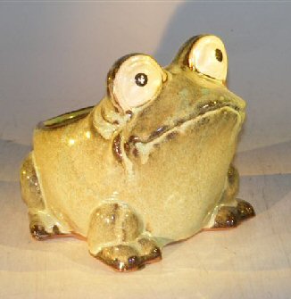 unknown Light Green Frog Planter<br><i>7.0 x 9.0 x 7.5</i>