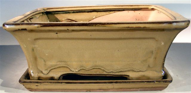 Olive Green Ceramic Bonsai Pot - Rectangle Professional Series with Attached Humidity/Drip Tray 10.25 x 8.0 x 4.125 OD9.0 x 7.0 x 3.25 ID Image